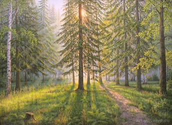Солнце в лесу