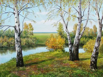 Березы